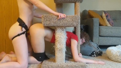Morehardporn - Lesbian Girlfriend Gets Stuck in Cat Tree